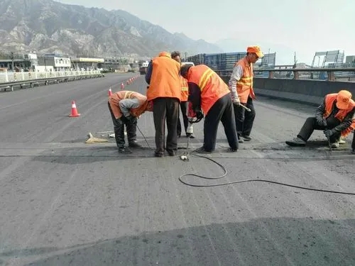 蔡甸道路桥梁病害治理